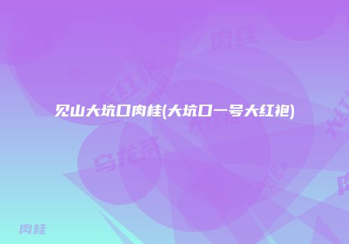 见山大坑口肉桂(大坑口一号大红袍)
