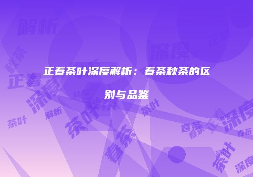 正春茶叶深度解析：春茶秋茶的区别与品鉴