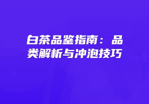 白茶品鉴指南：品类解析与冲泡技巧