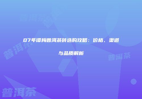 07年谭梅普洱茶砖选购攻略：价格、渠道与品质解析