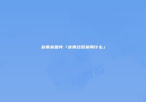 谷雨茶图片「谷雨过后茶叫什么」