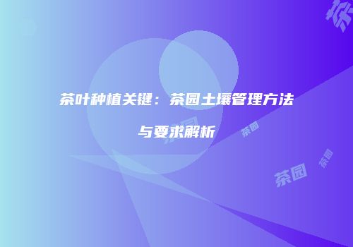 茶叶种植关键：茶园土壤管理方法与要求解析