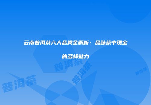 云南普洱茶六大品类全解析：品味茶中瑰宝的多样魅力