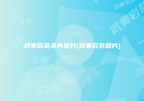 武夷岩茶杀青图片(武夷岩茶图片)