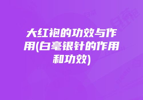 大红袍的功效与作用(白毫银针的作用和功效)