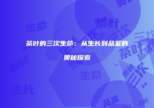 茶叶的三次生命：从生长到品鉴的奥秘探索