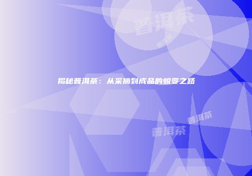 揭秘普洱茶：从采摘到成品的蜕变之路