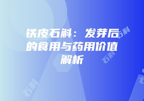 铁皮石斛：发芽后的食用与药用价值解析