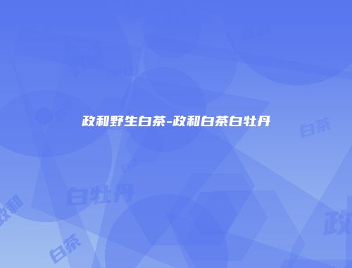 政和野生白茶-政和白茶白牡丹