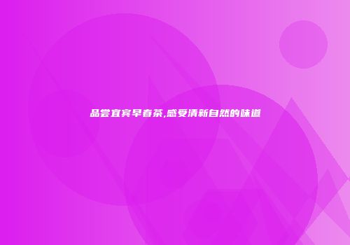 品尝宜宾早春茶,感受清新自然的味道
