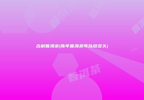 古树普洱茶(陈年普洱茶可以放多久)