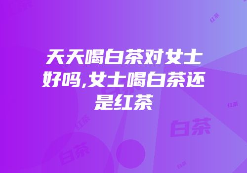 天天喝白茶对女士好吗,女士喝白茶还是红茶