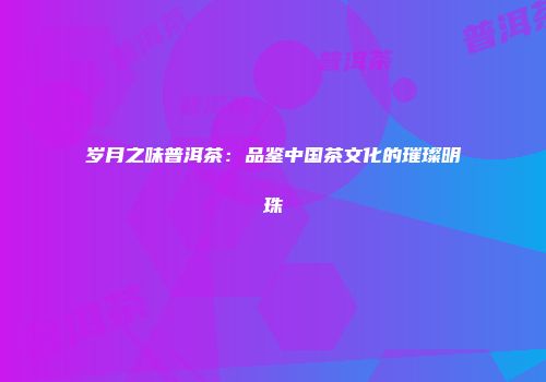 岁月之味普洱茶：品鉴中国茶文化的璀璨明珠