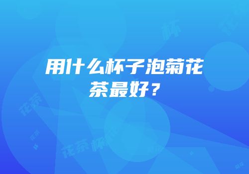 用什么杯子泡菊花茶最好？