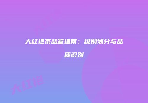 大红袍茶品鉴指南：级别划分与品质识别