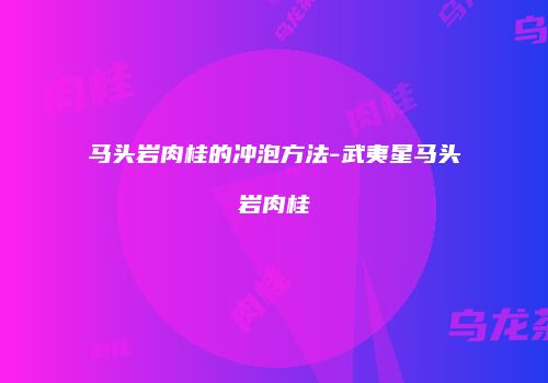马头岩肉桂的冲泡方法-武夷星马头岩肉桂
