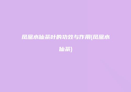 凤凰水仙茶叶的功效与作用(凤凰水仙茶)