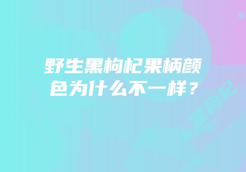 野生黑枸杞果柄颜色为什么不一样？