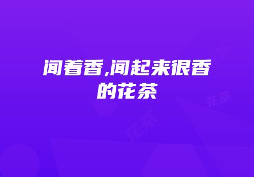 闻着香,闻起来很香的花茶