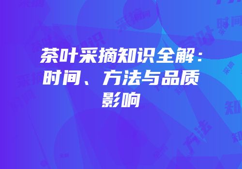 茶叶采摘知识全解：时间、方法与品质影响