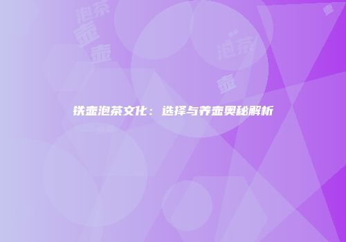 铁壶泡茶文化：选择与养壶奥秘解析
