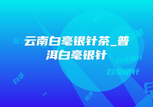 云南白毫银针茶_普洱白毫银针