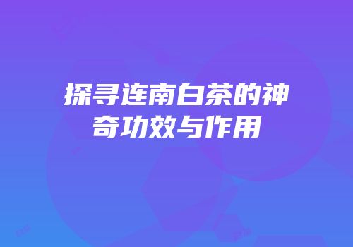 探寻连南白茶的神奇功效与作用