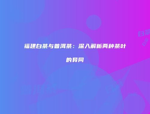 福建白茶与普洱茶：深入解析两种茶叶的异同