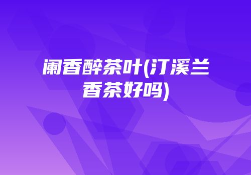 阑香醉茶叶(汀溪兰香茶好吗)
