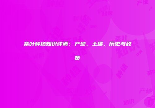 茶叶种植知识详解：产地、土壤、历史与政策