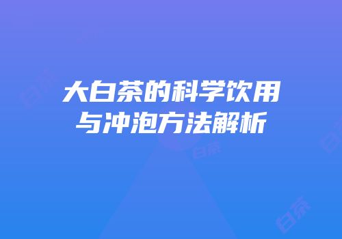 大白茶的科学饮用与冲泡方法解析