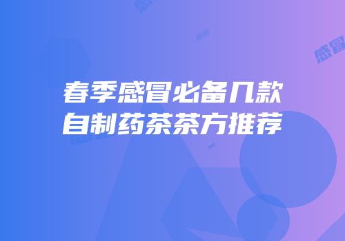 春季感冒必备几款自制药茶茶方推荐