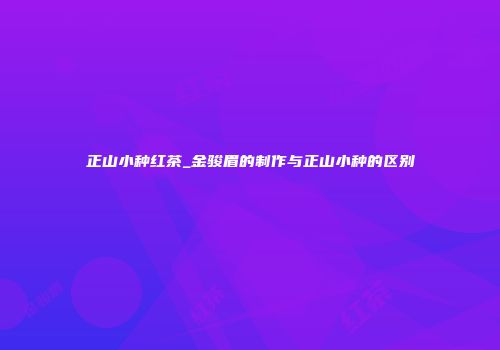 正山小种红茶_金骏眉的制作与正山小种的区别