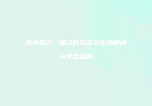 功夫茶艺：探寻传统茶文化的精神与生活态度