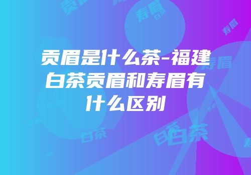 贡眉是什么茶-福建白茶贡眉和寿眉有什么区别