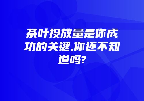 茶叶投放量是你成功的关键,你还不知道吗?