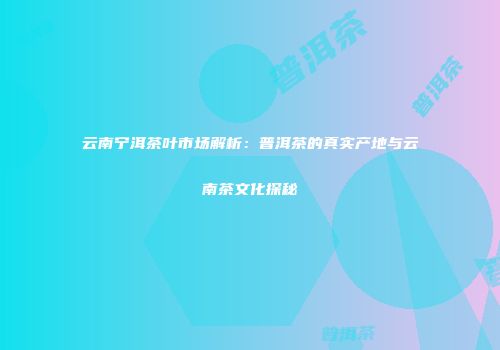 云南宁洱茶叶市场解析：普洱茶的真实产地与云南茶文化探秘