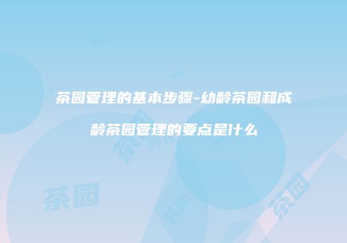 茶园管理的基本步骤-幼龄茶园和成龄茶园管理的要点是什么