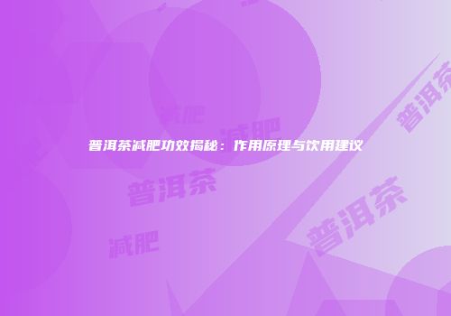 普洱茶减肥功效揭秘：作用原理与饮用建议