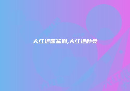 大红袍壶鉴别,大红袍种类
