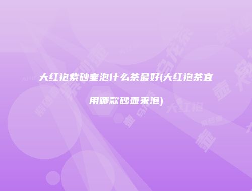 大红袍紫砂壶泡什么茶最好(大红袍茶宜用哪款砂壶来泡)