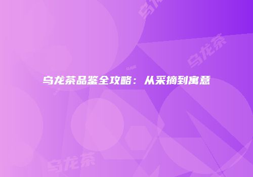乌龙茶品鉴全攻略：从采摘到寓意
