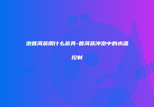 泡普洱茶用什么茶具-普洱茶冲泡中的水温控制