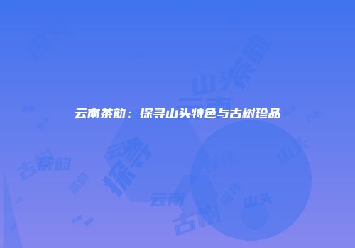 云南茶韵：探寻山头特色与古树珍品