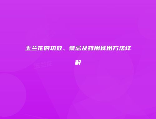 玉兰花的功效、禁忌及药用食用方法详解