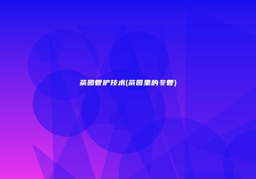 茶园管护技术(茶园里的冬管)