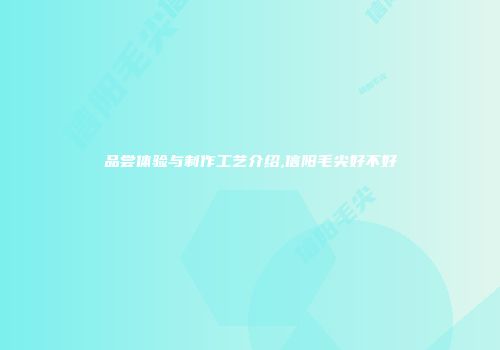 品尝体验与制作工艺介绍,信阳毛尖好不好