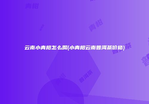 云南小青柑怎么喝(小青柑云南普洱茶价格)