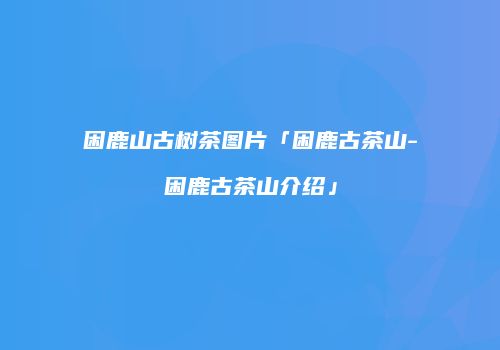 困鹿山古树茶图片「困鹿古茶山-困鹿古茶山介绍」