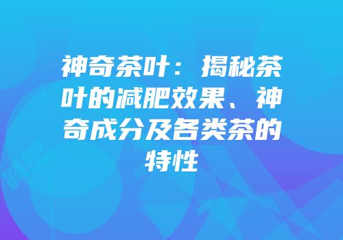 神奇茶叶：揭秘茶叶的减肥效果、神奇成分及各类茶的特性